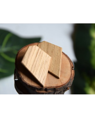 Oak geometric earrings BOHO