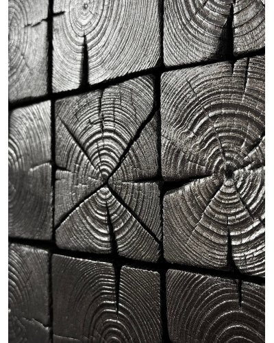ELEMENT: C | Monochrome Structured Image | Graphite + Wood